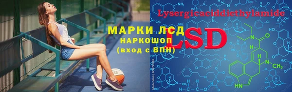 крисы Алзамай