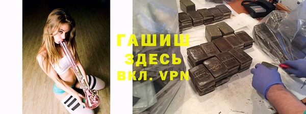 гашик Алексин