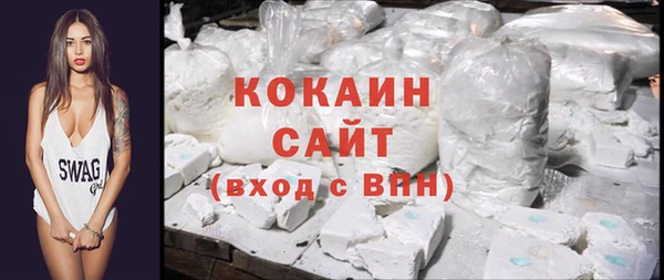 гашик Алексин