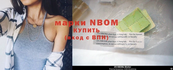 гашик Алексин