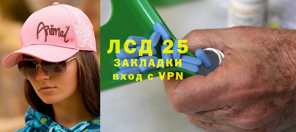 гашик Алексин