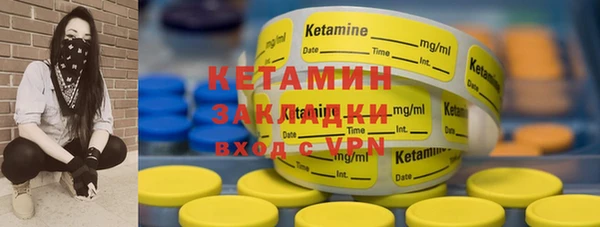 крисы Алзамай