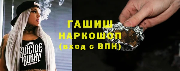 гашик Алексин