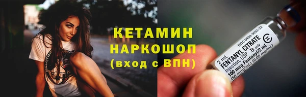 гашик Алексин