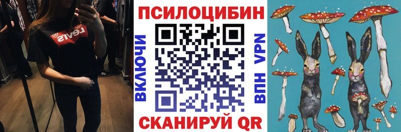 купить наркотики сайты  сайты даркнета как зайти  Галлюциногенные грибы MAGIC MUSHROOMS  Азов 